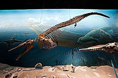 新形态回合制动作游戏《RESEARCH and DESTROY》今天起可于Steam下载体验版！