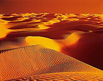 《斯普拉遁3》将搭载NPLN新网络技术 保证通信稳定性