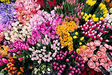 《雪地奔驰》第十季新增两张加拿大地图