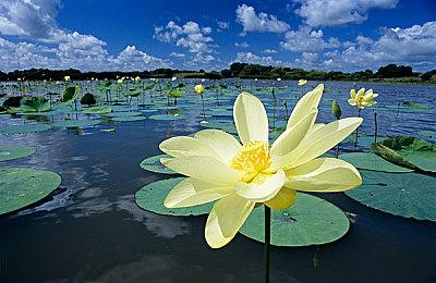 任天堂Switch 2第二轮抽选揭晓 前资深开发者也未中签